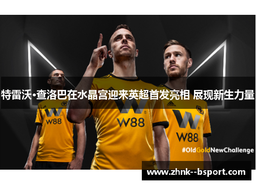 特雷沃·查洛巴在水晶宫迎来英超首发亮相 展现新生力量 特雷沃·查洛巴在水晶宫迎来英超首发亮相 展现新生力量